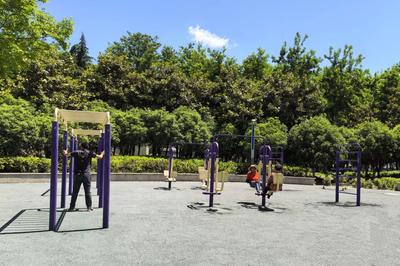 “樂享園林”成果巡展 | 城市綠道篇 編織綠色動脈，樂享活力生活