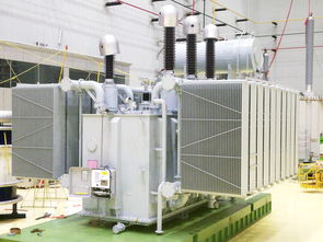 創新驅動，品質引領 山東電工電氣六款工程機械設備通過國家級鑒定